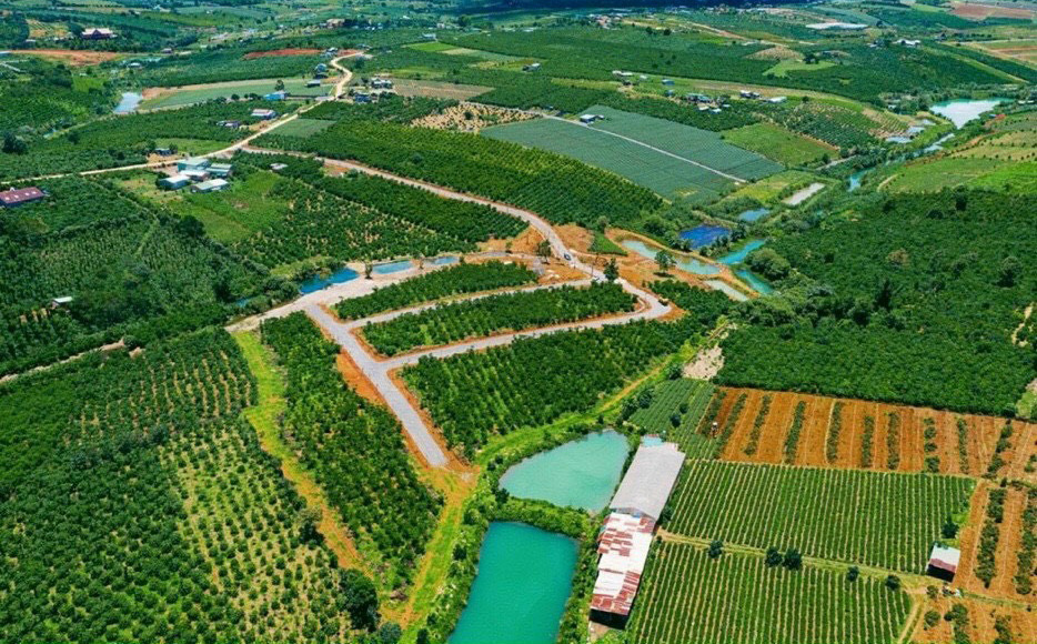 Dự án đất nền Bảo Lộc đang triển khai tại Lâm Đồng