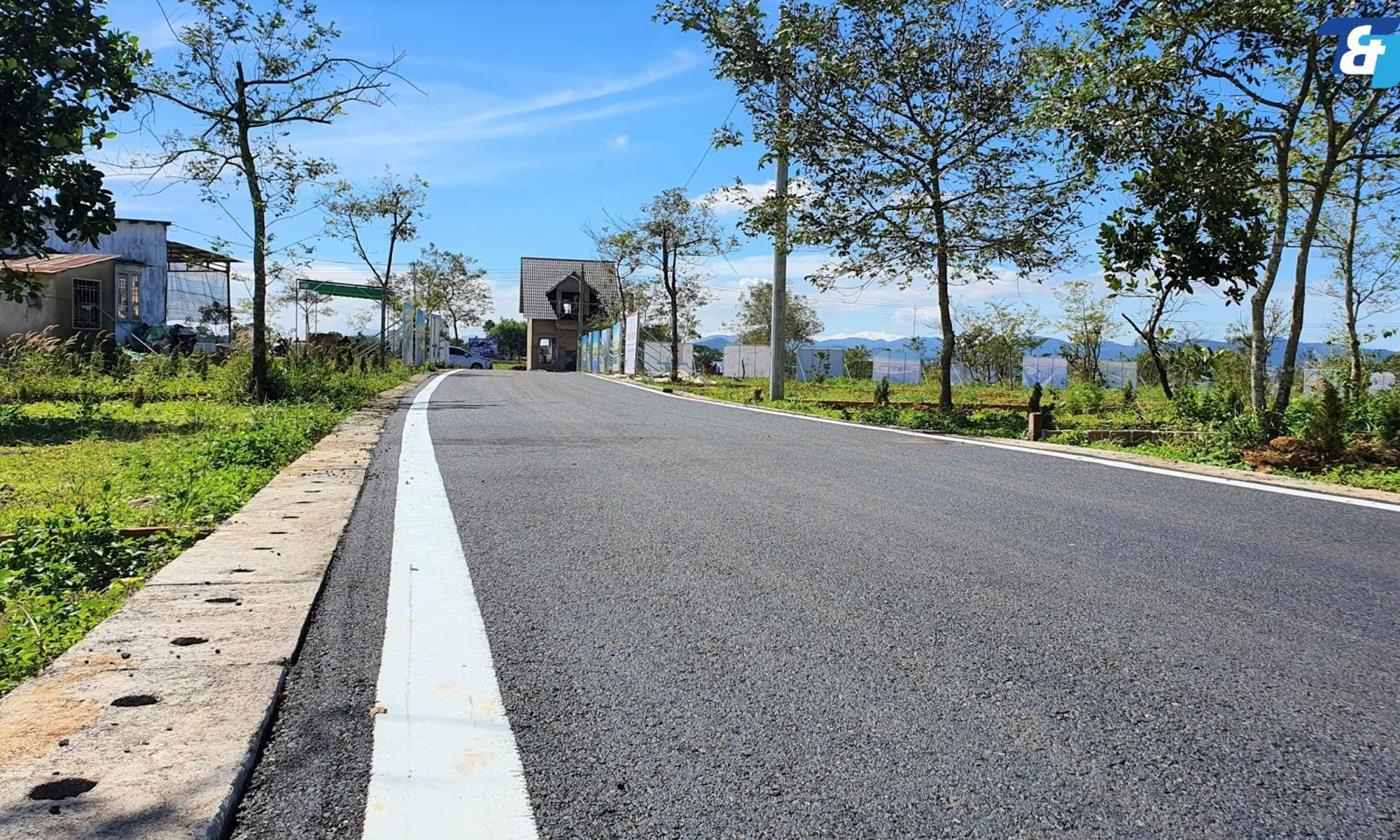 Sunflower Hill