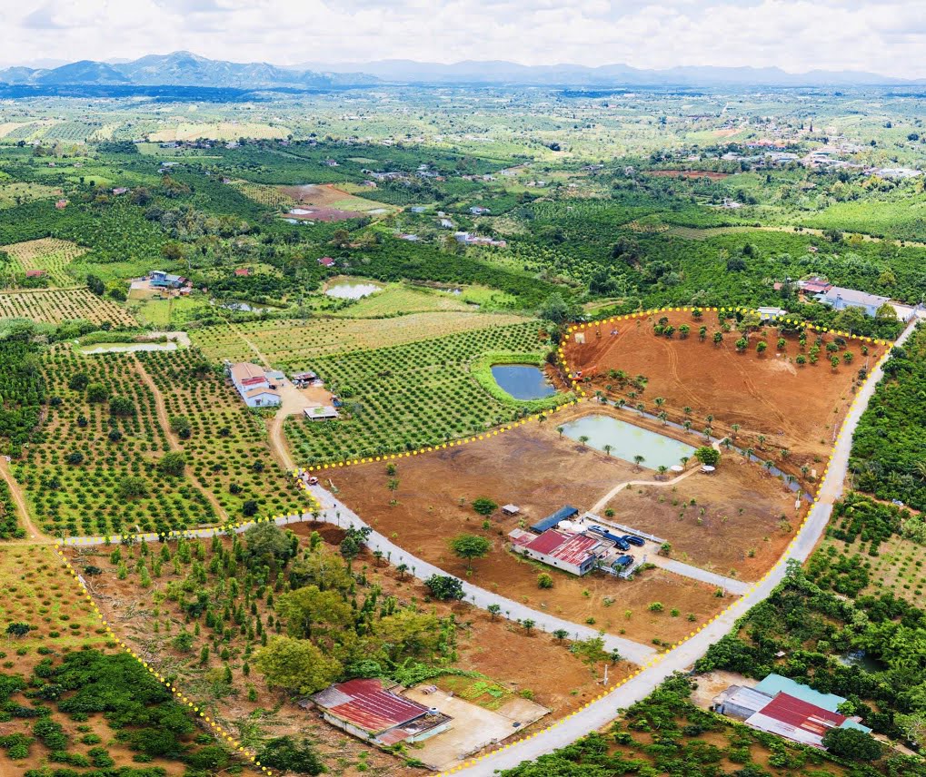 Farm Hill Bảo Lộc