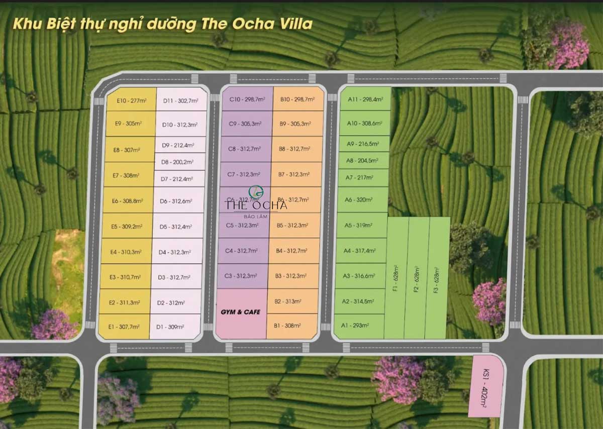 The Ocha Bảo Lộc