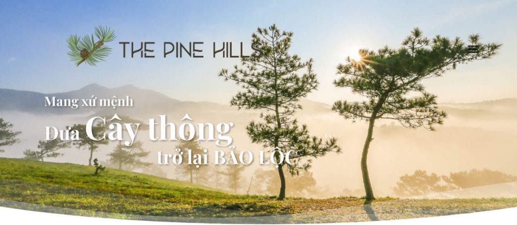 The Pine Hills Bảo Lộc