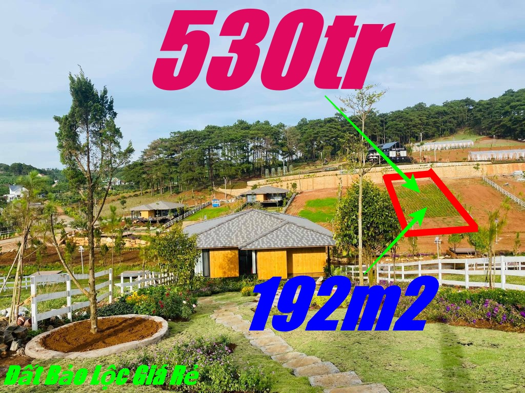 NGỘP 192M2 VIEW HỒ ĐẸP NHẤT BẢO LỘC CHỈ 520 TC, SHR